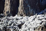 Big Bend National Park