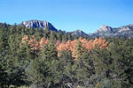 Guadalupe Mountains National Park