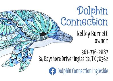Dolphin Connection