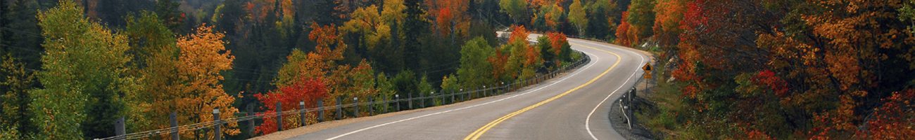 This is a generic image, it is NOT an image of Grapevine Hills Road go-texas.com Travel Info